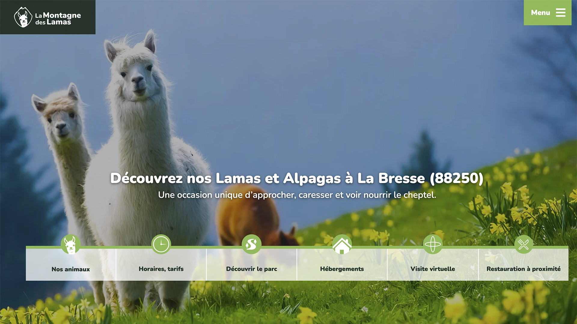 Aperçu de la création du site internet de La Montagne des Lamas à La Bresse réalisé par Cercledesign, agence de communication dans les Vosges (88)
