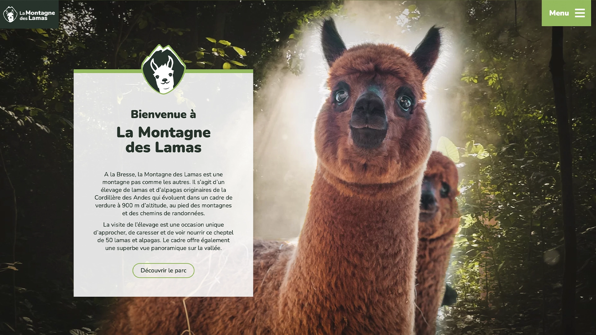 Aperçu de la création du site internet de La Montagne des Lamas à La Bresse réalisé par Cercledesign, agence de communication dans les Vosges (88)