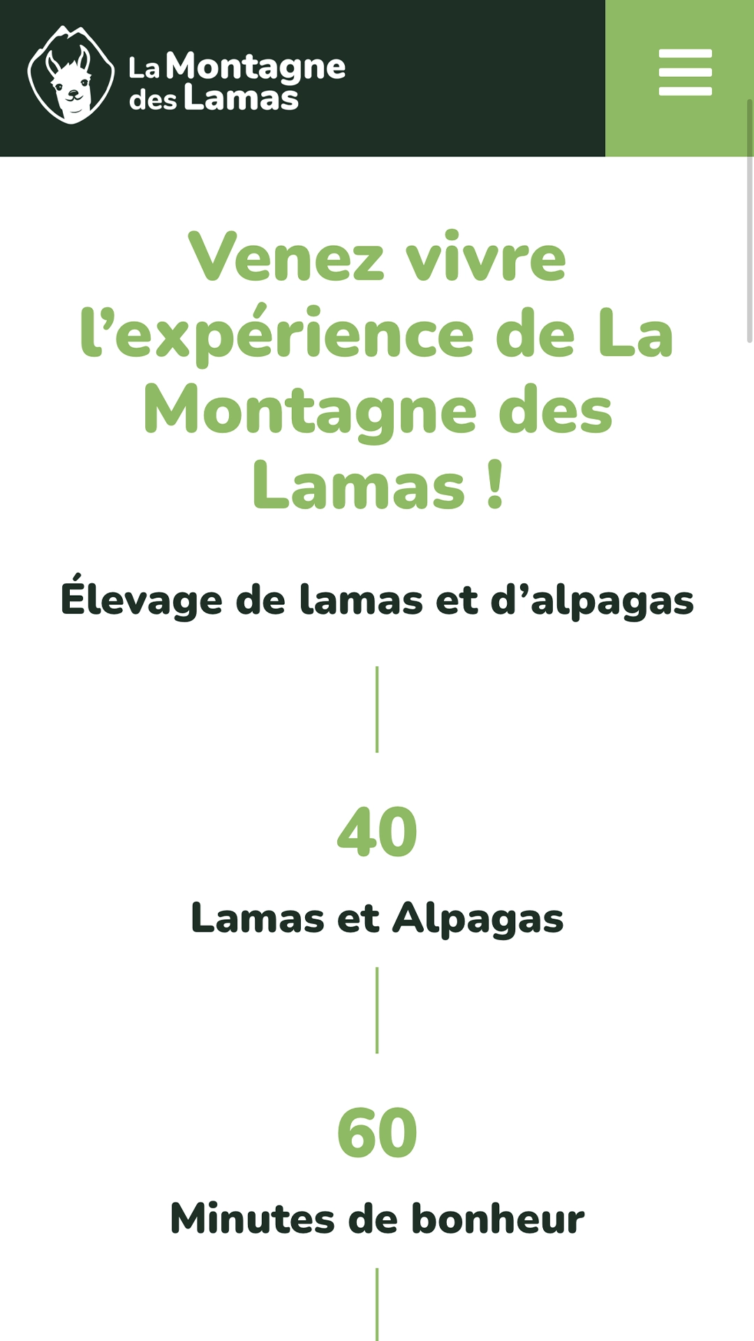 Aperçu de la création du site internet de La Montagne des Lamas à La Bresse réalisé par Cercledesign, agence de communication dans les Vosges (88)