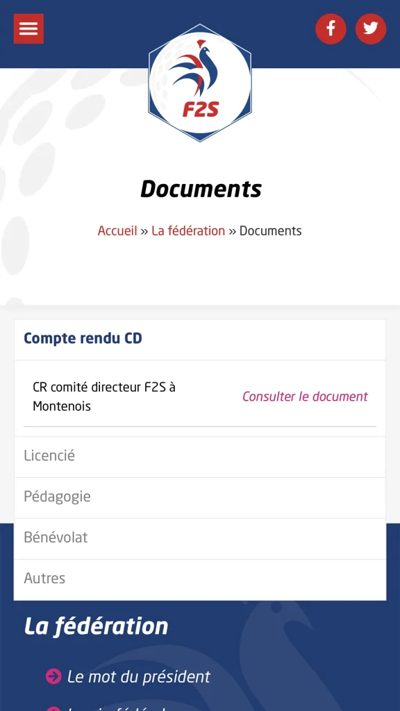 Aperçu de la création du site internet de la fédération française de Swin Golf réalisé par Cercledesign, agence de communication dans les Vosges (88)